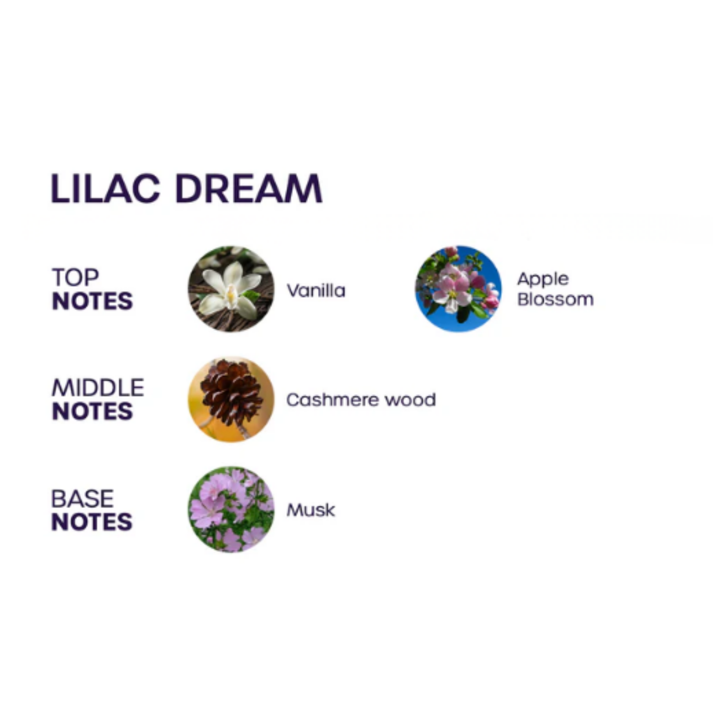 Lilac Dream Pheromone Perfume