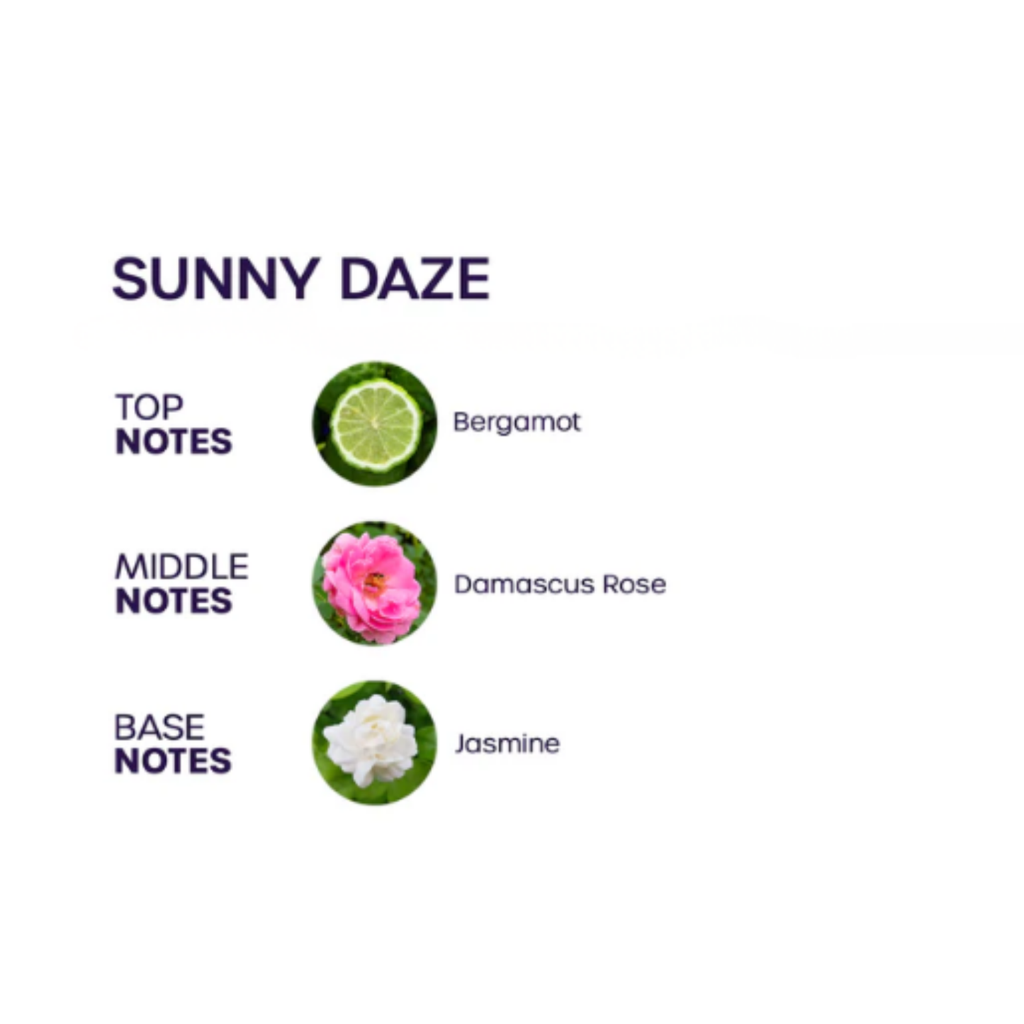 Sunny Daze Perfume
