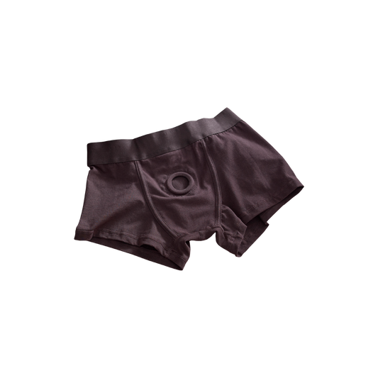 Briefs-Harness